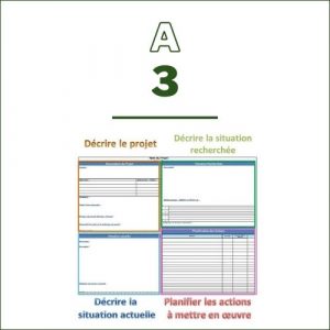 A3