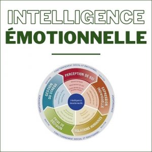 intelligence émotionnelle