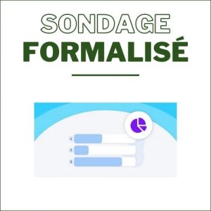 Sondage formalisé