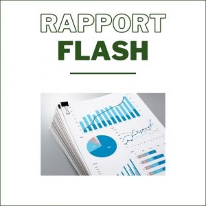Rapport flash
